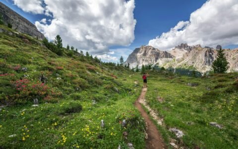 Valley of Flowers Trek