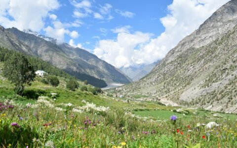 Valley of Flowers Trek
