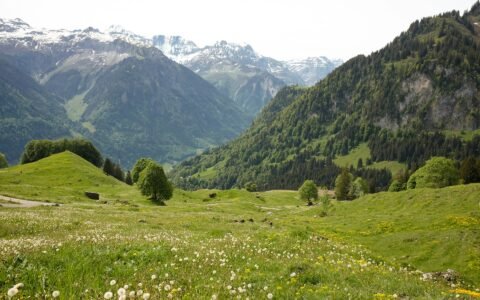 Valley of Flowers Trek