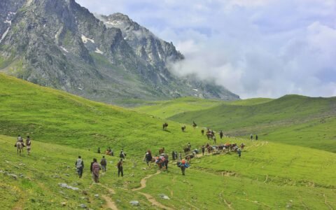 Triund Trek — Mcleod Ganj